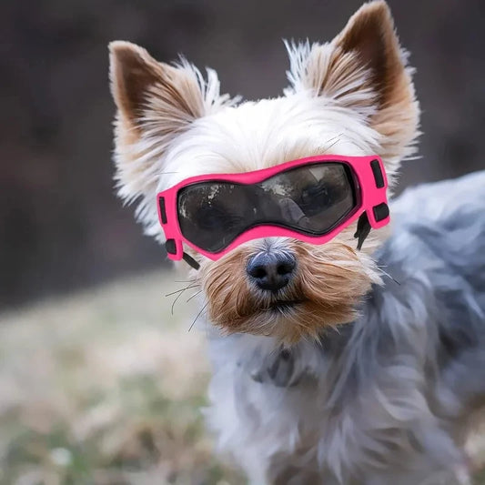 UV Protective Dog Goggles – Cool Sunglasses for Small & Medium Breeds