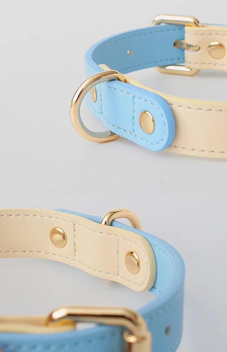 Leather Dog Collar & Leash Set – Durable and Stylish for All Life Stages