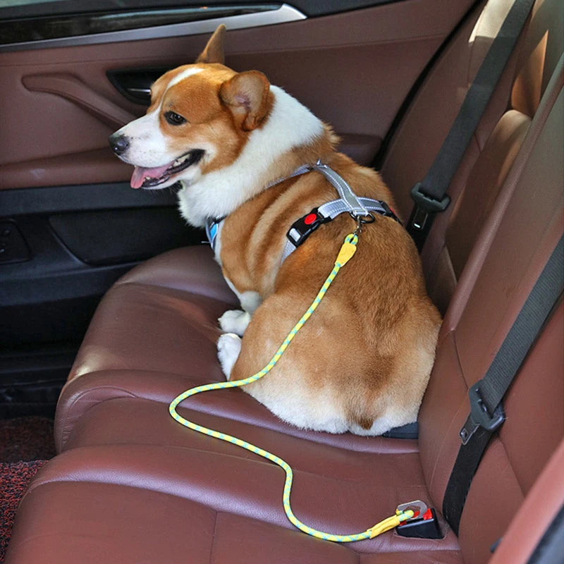 Adjustable Dog Car Seat Belt – Safety Harness for Pets