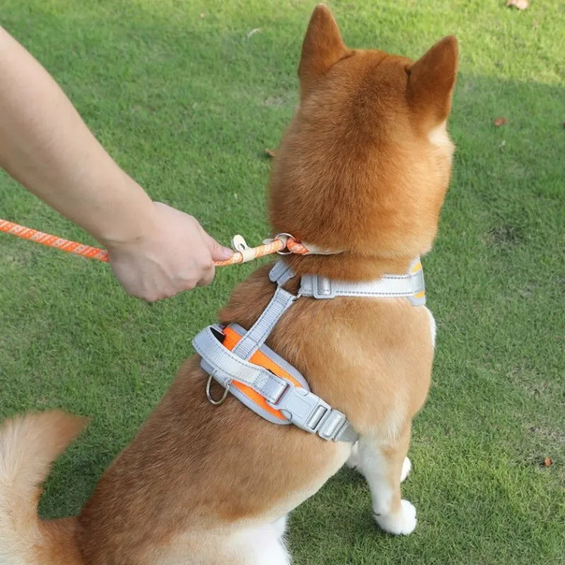 Reflective Striped Nylon Dog Leash with P Chain Collar – Anti-Loss and Ideal for Training