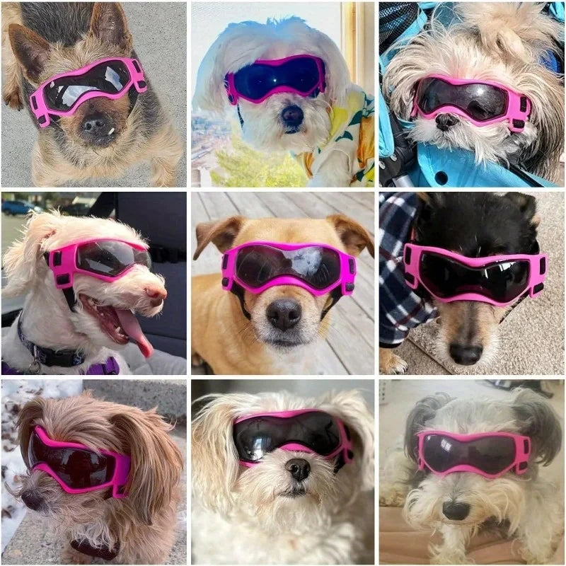 UV Protective Dog Goggles – Cool Sunglasses for Small & Medium Breeds